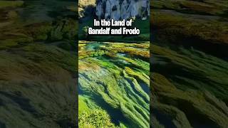 Meet Gandalf - Te Waihou Blue Spring in New Zealand