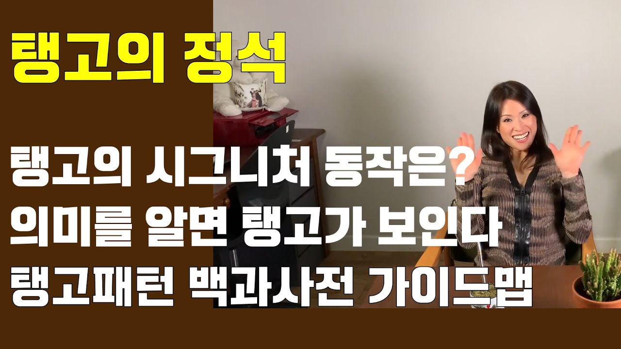 탱고의 시그니처 동작들, 의미를 알면 탱고가 보인다