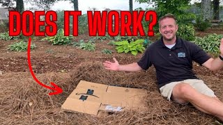 The Truth About Using Cardboard in your Landscape