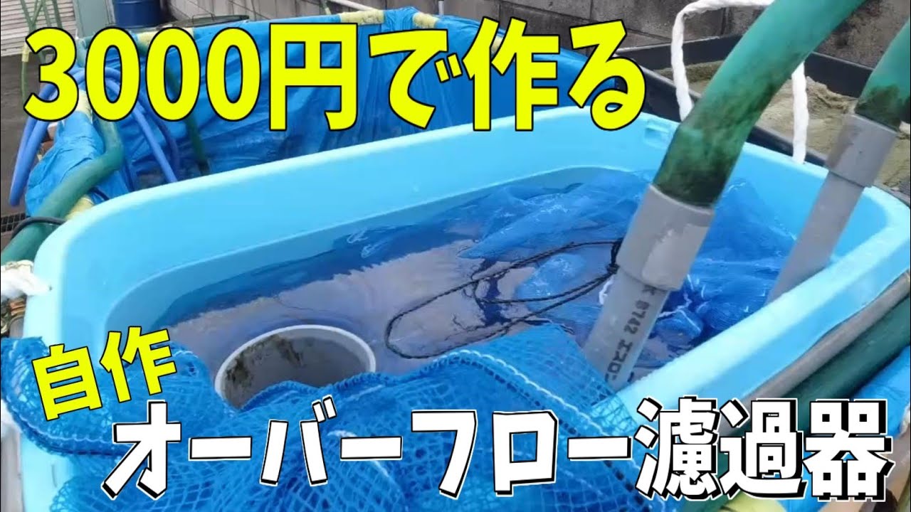 錦鯉】DIYで錦鯉用の濾過器 - YouTube