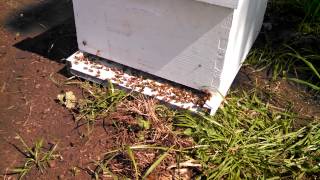 VID_20150418_154333_912.mp4