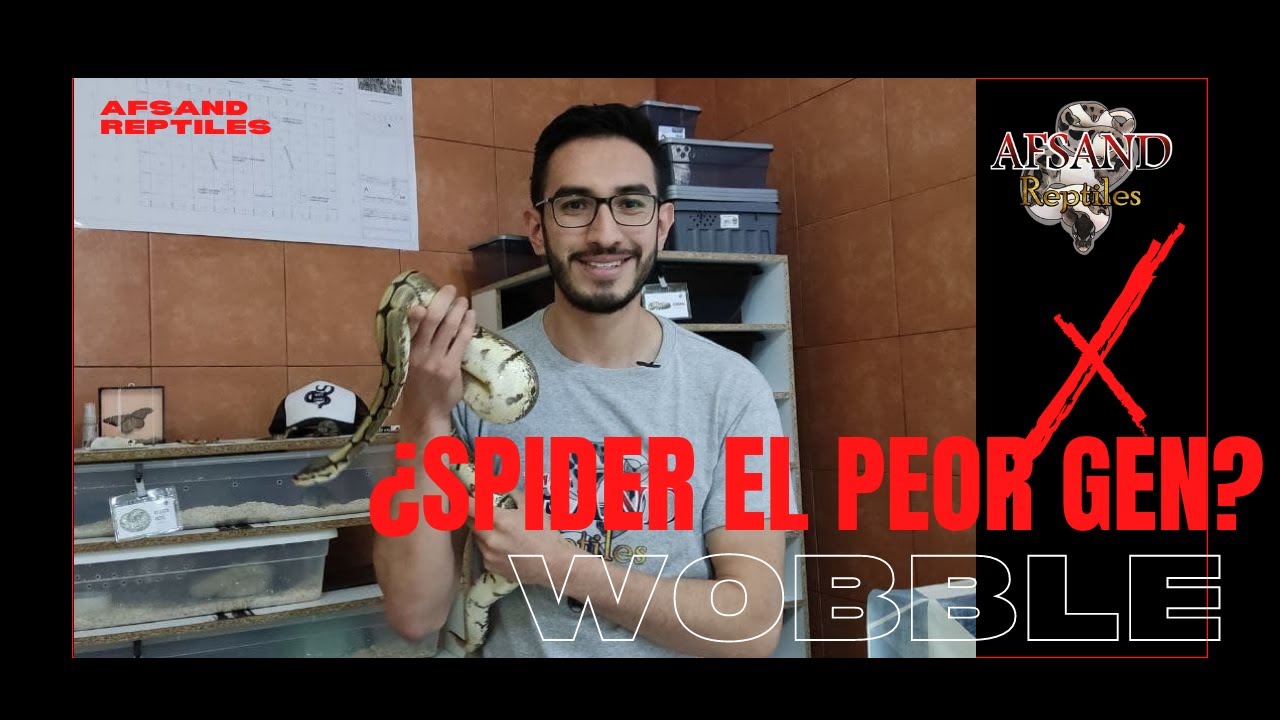 ¿Spider , Wobble , EL PEOR GEN? 😰🤔