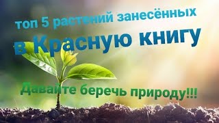 Топ 5 растений занесённых в Красную книгу