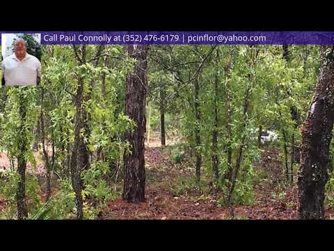 2537 W Wilmington Circle, Citrus Springs, FL home video tour