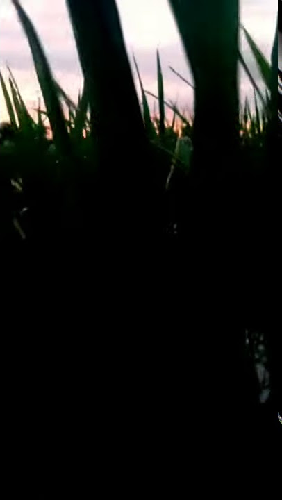 Story wa || In the end - Linkin park