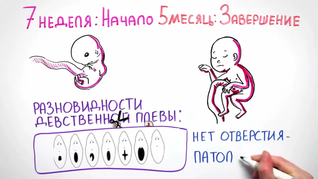 Вредно Ли Долго Оставаться Девственницей