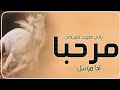 افخم شيلة ترحيبية 2023 مرحبا بالي طبيت الميدان &rsquo; ادا مرسل