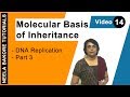 Molecular Basis of Inheritance - DNA Replication - Part 3