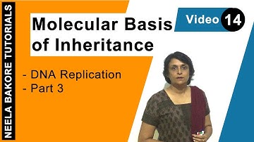 Molecular Basis of Inheritance | NEET | DNA Replication - Part 3 | Neela Bakore Tutorials