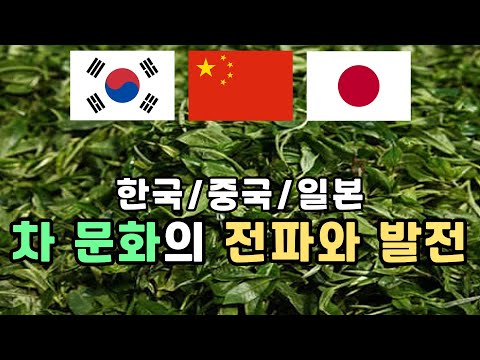 티히스토리 차 문화의 발전 한 중 일 한방에 비교하기 Development Of Tea Culture In Asia Korea China Japan 