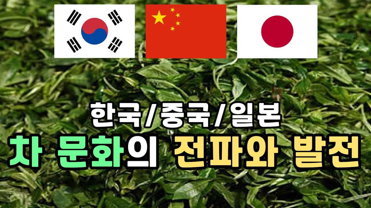 [티히스토리] 차 문화의 발전 (한/중/일) 한방에 비교하기_Development of Tea Culture in Asia (Korea🇰🇷/China🇨🇳/Japan🇯🇵)