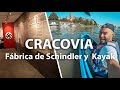 Fábrica de Schindler y Kayak por Cracovia 🚣. Guía Polonia 🇵🇱 Molaviajar
