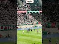 بعيدا عن ما حدث في #المدرجات  هدف #العميد  كان في غاية الروعة  #اكسبلور#mouloudia  #مولودية_الجزائر