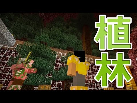 【カズクラ】マイクラ実況 PART335 ネザー植林始めました！