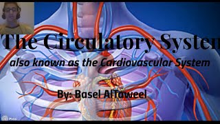 Heart and circulatory system