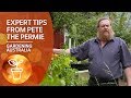 Expert tips on sustainable orchard growing from 'Pete the Permie'