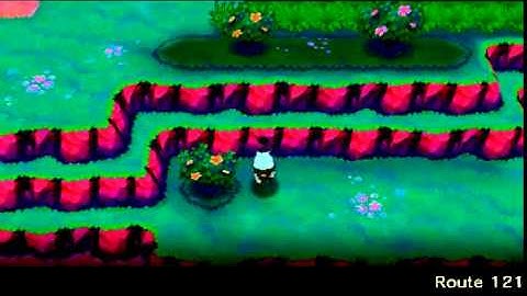 Route 121 Secret Base Locations: Pokemon Alpha Sapphire and Omega Ruby [ORAS]