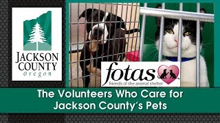 The Volunteers Who Care for Jackson County's Pets