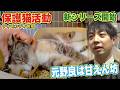 【保護猫活動】ティモンディ前田さんの家に甘えん坊の子猫ワカメがやってきました（嗚呼!!みんなの動物園）