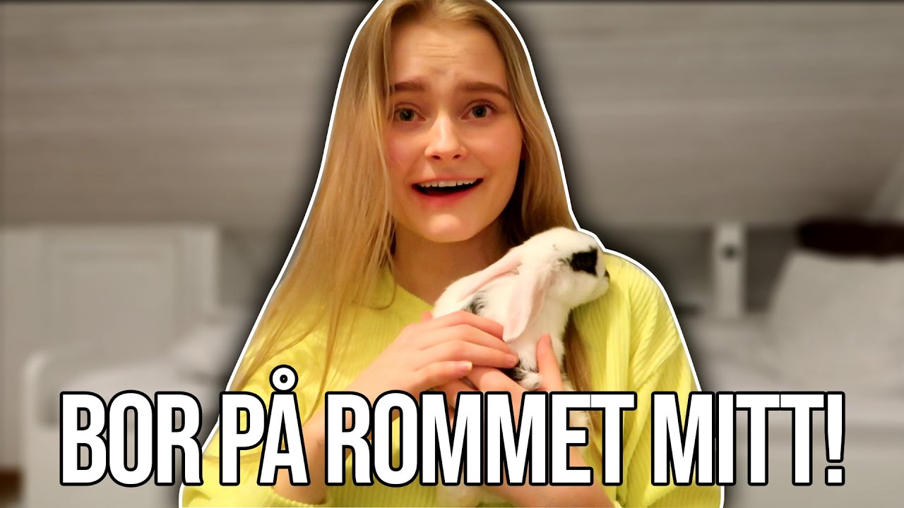 Jeg får meg kanin! (Vlog)
