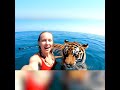 Dire Dire Tiger #ai #aivideo #animals #ocean