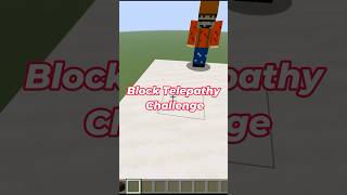 Minecraft Block Telepathy #minecraft #gaming #minecraftchallenge #telepathy