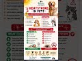 #heatstrokeinpets #petcare #dogcare #catcare #summerpetcare#pethealth #veterinary #petemergency