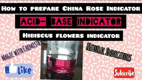 How to prepare China Rose Indicator || Acid-Base Indicator||Hibiscus Flower Indicator ||
