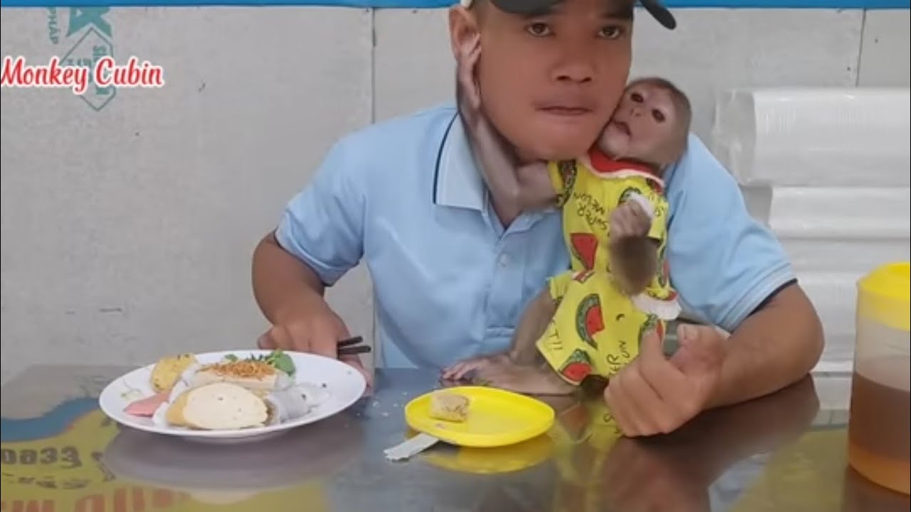 Сломанная лапка малыша-обезьянки Кубина заживает удивительным образом! 🐵💛