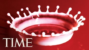 Milk Drop: Behind Harold 