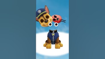 JJ Cocomelon and Paw Patrol Nerd Smash