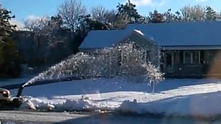 Bercomac munching on frozen snow