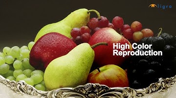 Lumens Ladibug Document Camera