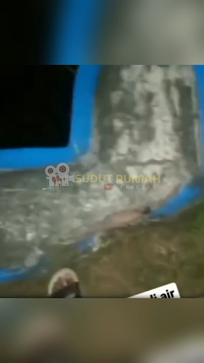 SOUND OF CALLING FOR HELP UNDER THE BRIDGE #viral #shorts #appearance #mountain #pocong #kuntilan...