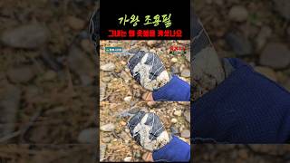 shorts369. 가왕 조용필- 그대는 왜 촛불을 켜셨나요 #가왕 #조용필 #촛불