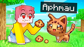 Becoming A YUMMY Cookie Kitten In MINECRAFT!