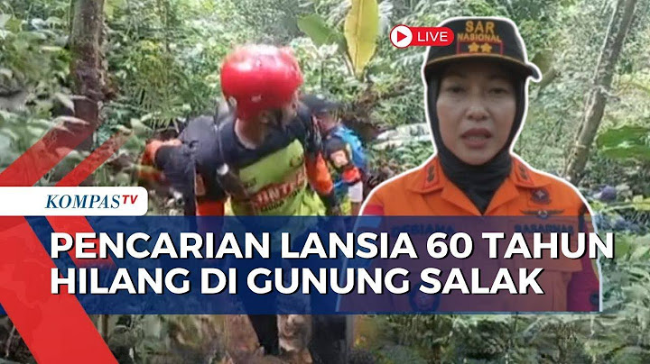 Tim SAR Ungkap Kronologi dan Update Pencarian Lansia Hilang di Gunung Salak