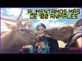 Visita de Steff j mx  ¡Alimentamos a más de 100 animales! Reto con serpientes 🐍