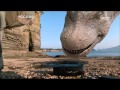 Dinosaur footprints - The Land of Dinosaurs, #05, 공룡 발자국