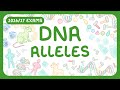 GCSE Biology - DNA Part 2 | Alleles | Phenotype vs Genotype (2026/27 exams) Mp3 Song