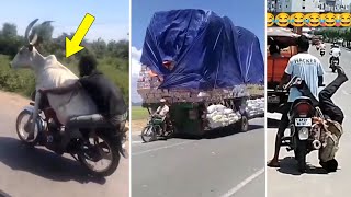 सांड को Bike पर ले जाता है | 15 Stupid People