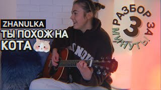 Ты похож на кота РАЗБОР НА ГИТАРЕ БЕЗ БАРРЭ / Zhanulka / FLAMINGO MUSIC