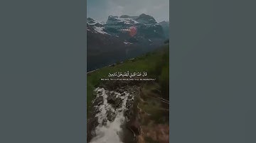 اذكر الله يذكرك ♥️#قران كريم بصوت القارئ ياسر الدوسري# حالات واتس اب