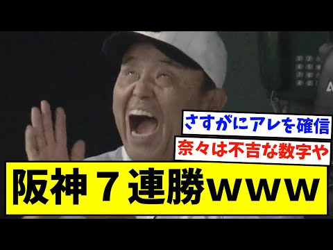 Hanshin on a 7-game winning streak and the Magic Number is 7 lol [NanJ Reaction]
