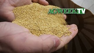 AgweekTV: Seed Dispute (Full Show)