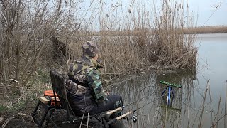 Зимняя Рыбалка, Клёв Рыбы На Диком Водоёме, Накормил Дикого Кота Рыбой Природа И Отдых