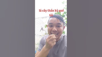 Lá cây thần kỳ. đánh bay vị giác.