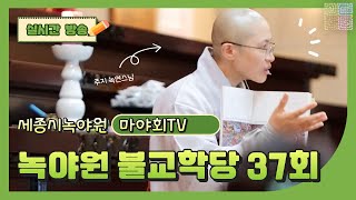 화엄경 입법계품 37 지말법회 41.마야부인