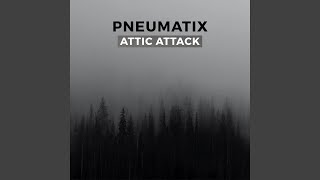 Attic Attack