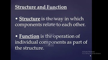 Computer organization and Computer architecture